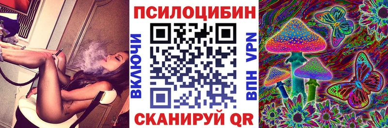 Купить где  Биробиджан  Псилоцибиновые грибы мицелий 